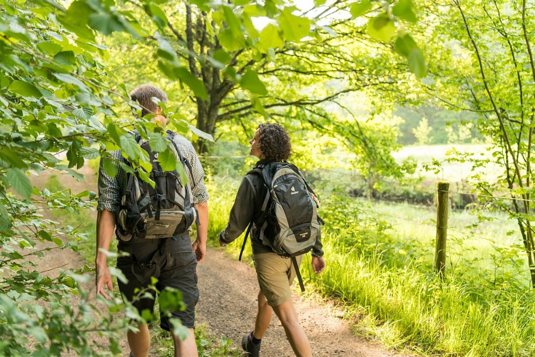 Eifelsteig: Großlittgermühle Salmtal