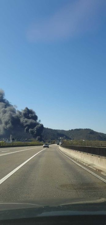 Laut A.R.T. GmbH ging von ihnen aber keine Gefahr für die Gesundheit aus. Foto: WSTTV
