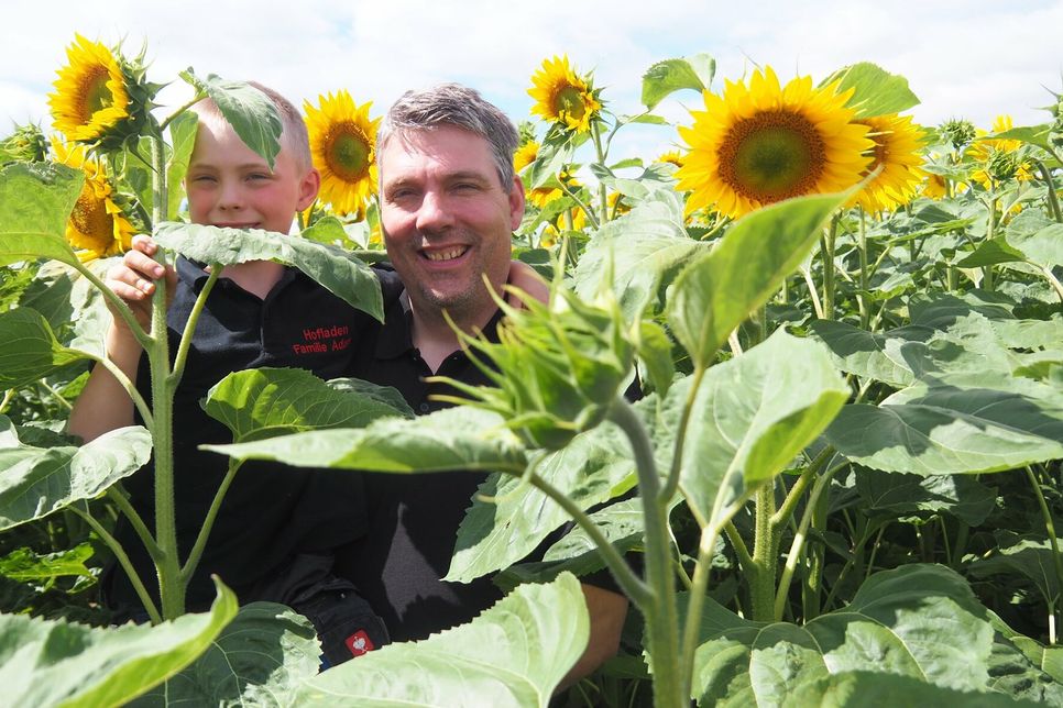 Optimistischer Blick in Richtung der ersten Ernte: Gregor Adams und sein Sohn Jakob in einem ihrer Sonnenblumenfelder.