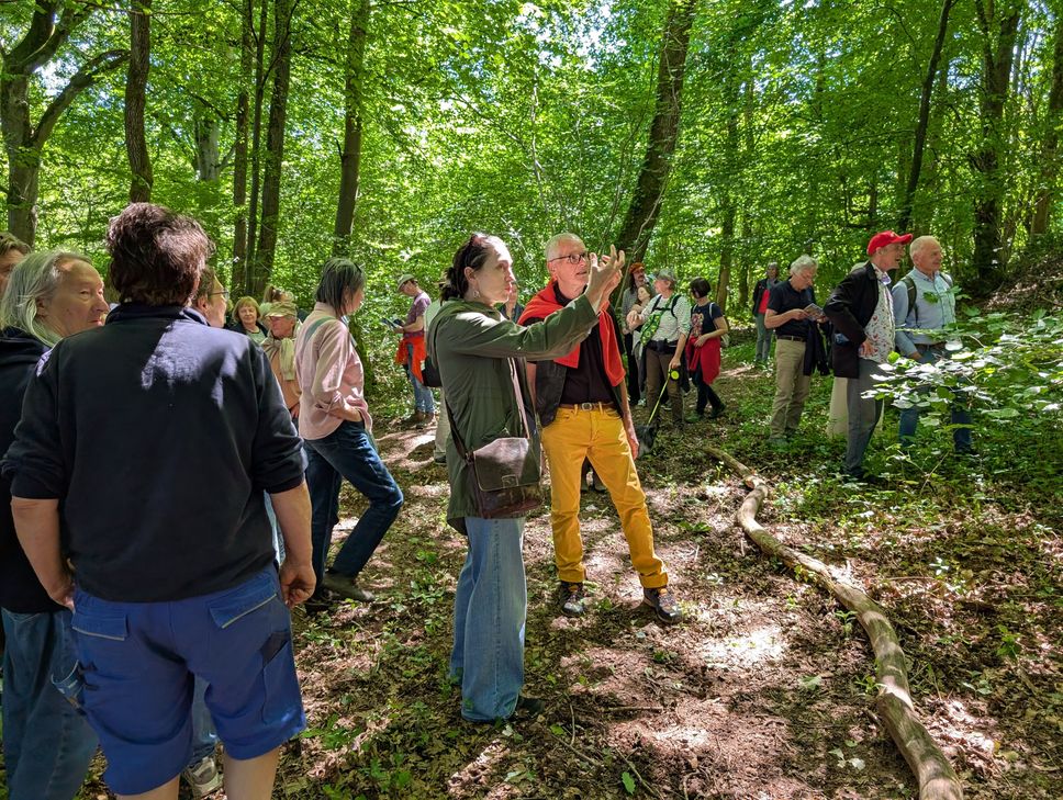 Ein Rundgang führte die Gäste der Eröffnungsfeier über die Kyllburger Kunstroute.