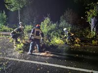 Einsatz in der Luxemburger Straße in Trier