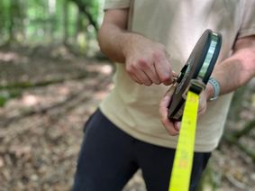 Der Nationalpark Hunsrück-Hochwald vergibt erstmals Forschungsstipendien.