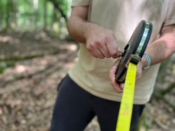 Der Nationalpark Hunsrück-Hochwald vergibt erstmals Forschungsstipendien.