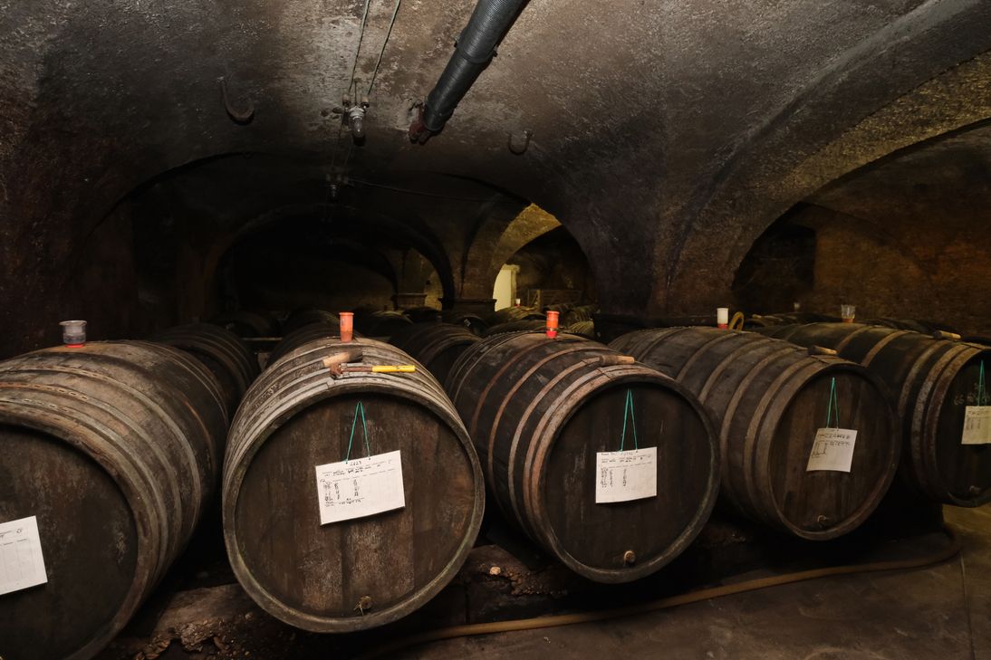 Unterhalb des alten Abteigebäudes werden im alten Klosterkeller aus dem 12. Jahrhundert die Weine handwerklich und spontan ausgebaut.