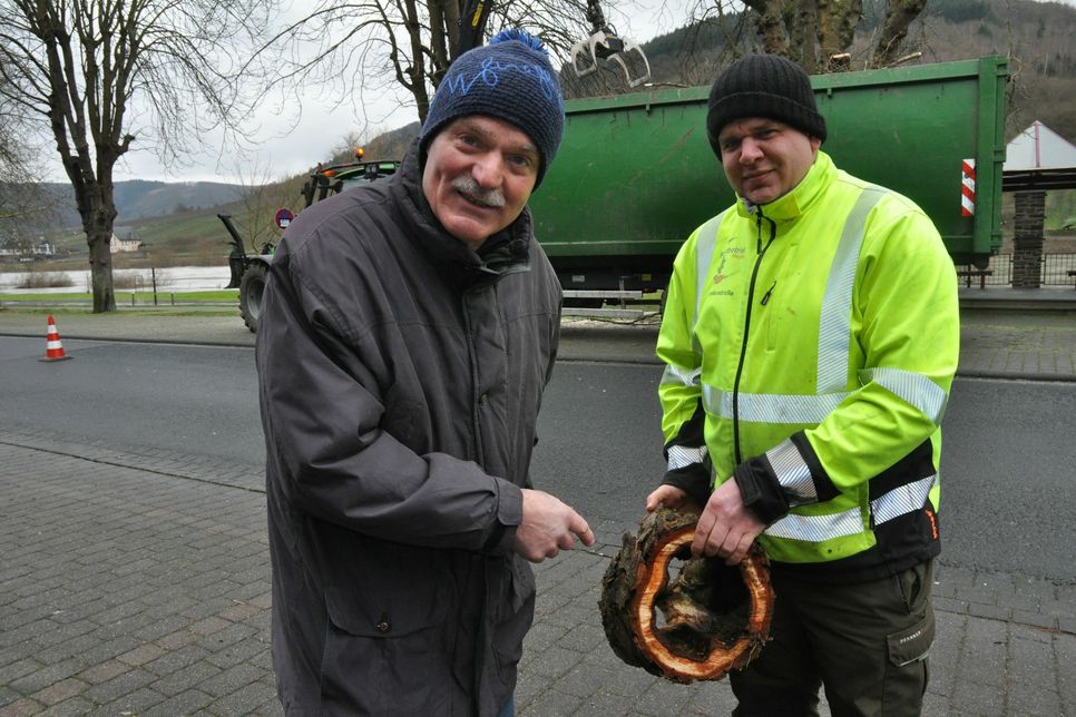 Valwigs Ortsbürgermeister Klaus Zucchet (links) und Lars Bogdanski vom Forstbetrieb Herter mit einem hohlen Ast einer Kastanie, der zunächst als gesund vermutet wurde.