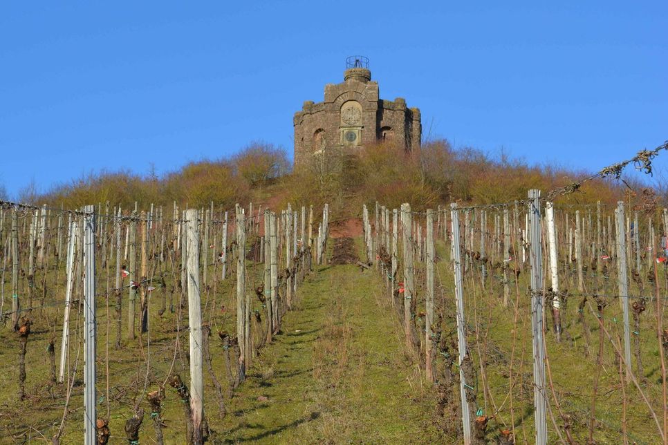 Einst führte ein Treppenaufgang zur Burg, die in Sichtweite der Weinbaudomäne Avelsbach über dem Aveler Tal thront. Foto: Neumann