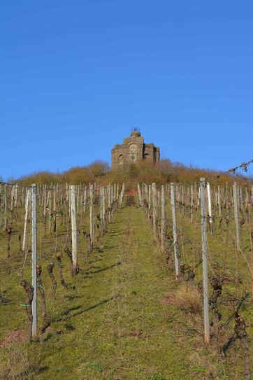 Einst führte ein Treppenaufgang zur Burg, die in Sichtweite der Weinbaudomäne Avelsbach über dem Aveler Tal thront. Foto: Neumann