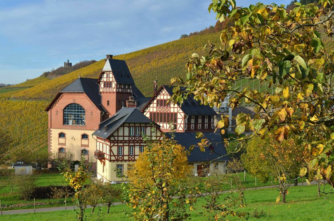 Die Weinbaudomäne Avelsbach. Foto: Neumann