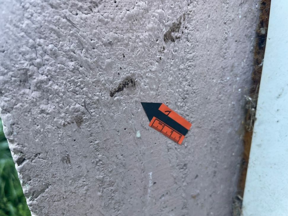Als sich die Ermittler außen am Haus in der Straße »Im Brinken 1« umschauten, stießen sie an der weißen Kunststoff-Kellertür auf Blutspuren. Diese sind bis heute, rund sieben Monate nach der Tat, noch sichtbar und mit Markierungen der Spurensicherung versehen.