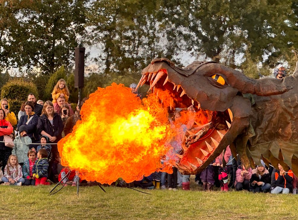Das Drachenfest findet am Sonntag, 13. Oktober im Seepark Zülpich statt.