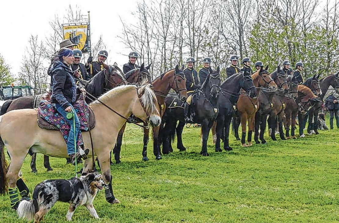 Ross und Reiter, aber auch andere Tiere werden in Huppenbroich gesegnet. Foto: GKB