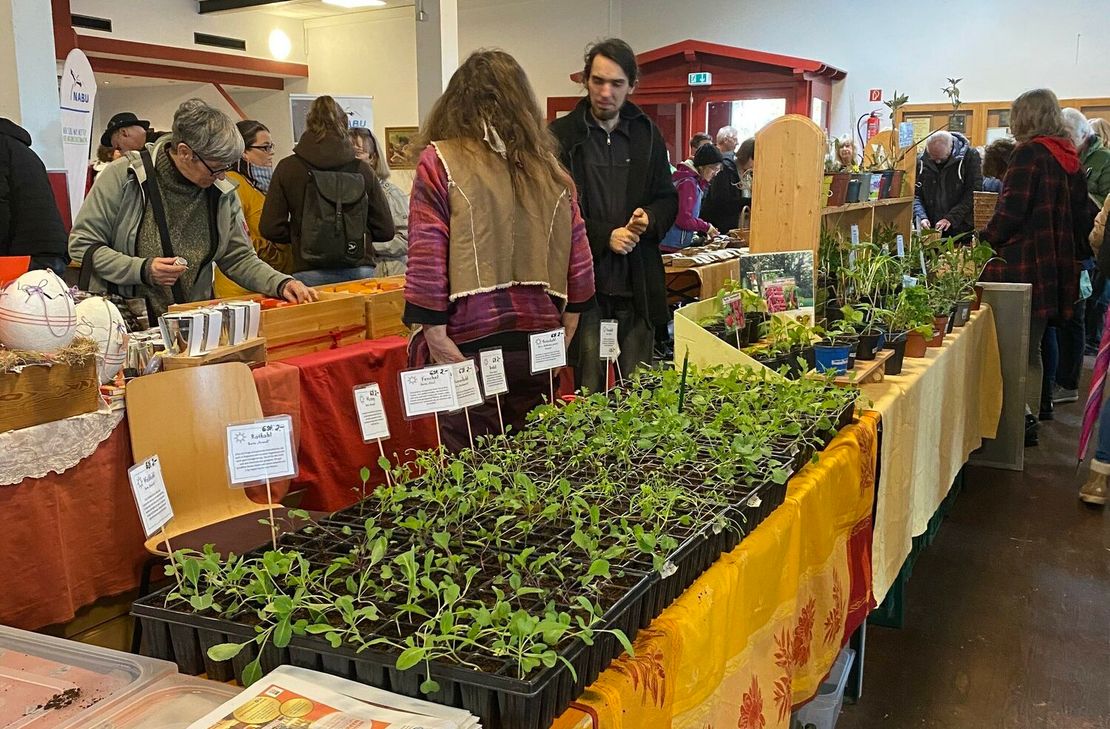 In Nationalpark-Tor und Vereinshalle in Höfen findet das vierte Saatgut-Festival statt.