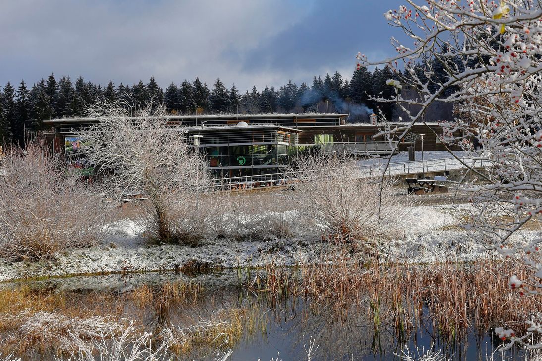 Unser Foto zeigt im Vordergrund ein Biotop in der Nähe des Hunsrückhauses am Fuße des Erbeskopf.