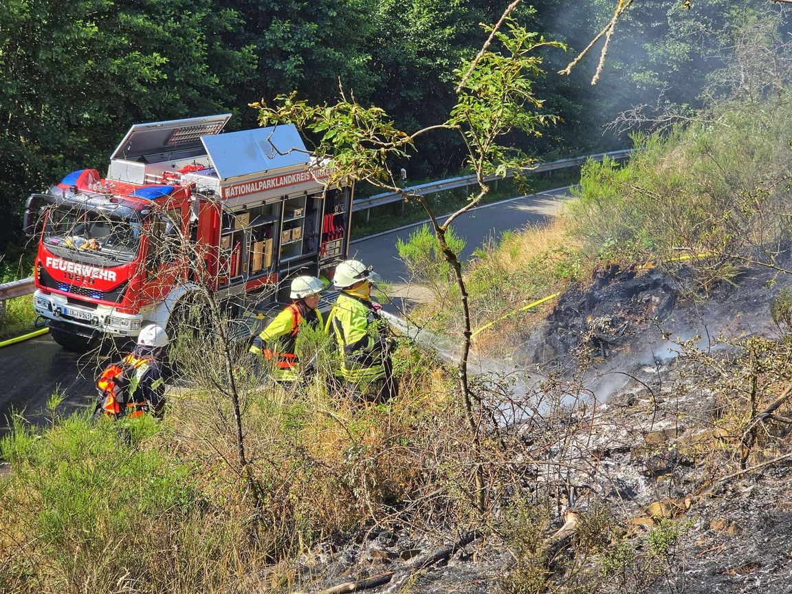 Brand, Feuer, Waldbrand