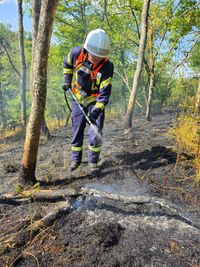 Brand, Feuer, Waldbrand