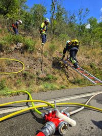 Brand, Feuer, Waldbrand