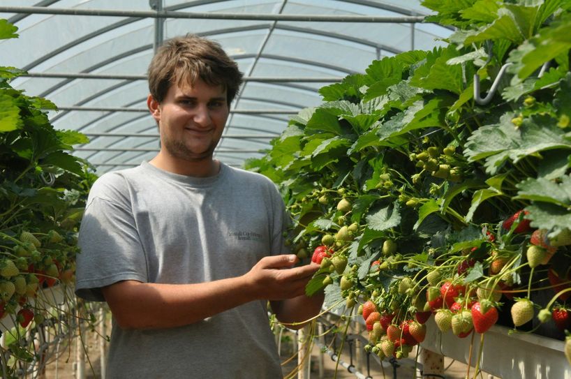 Darius Theisen in seinem "beerigen" Metier.