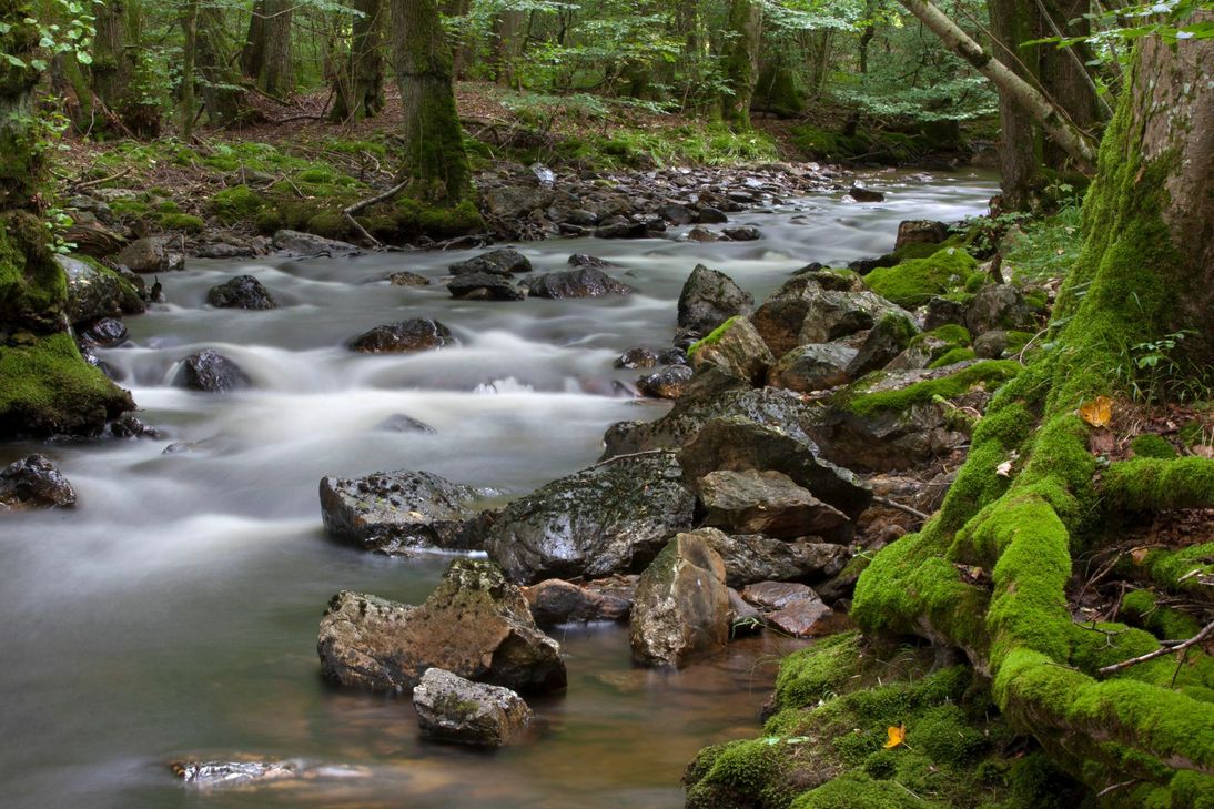 Wasserquelle im Nationalpark. Foto: Konrad Funk