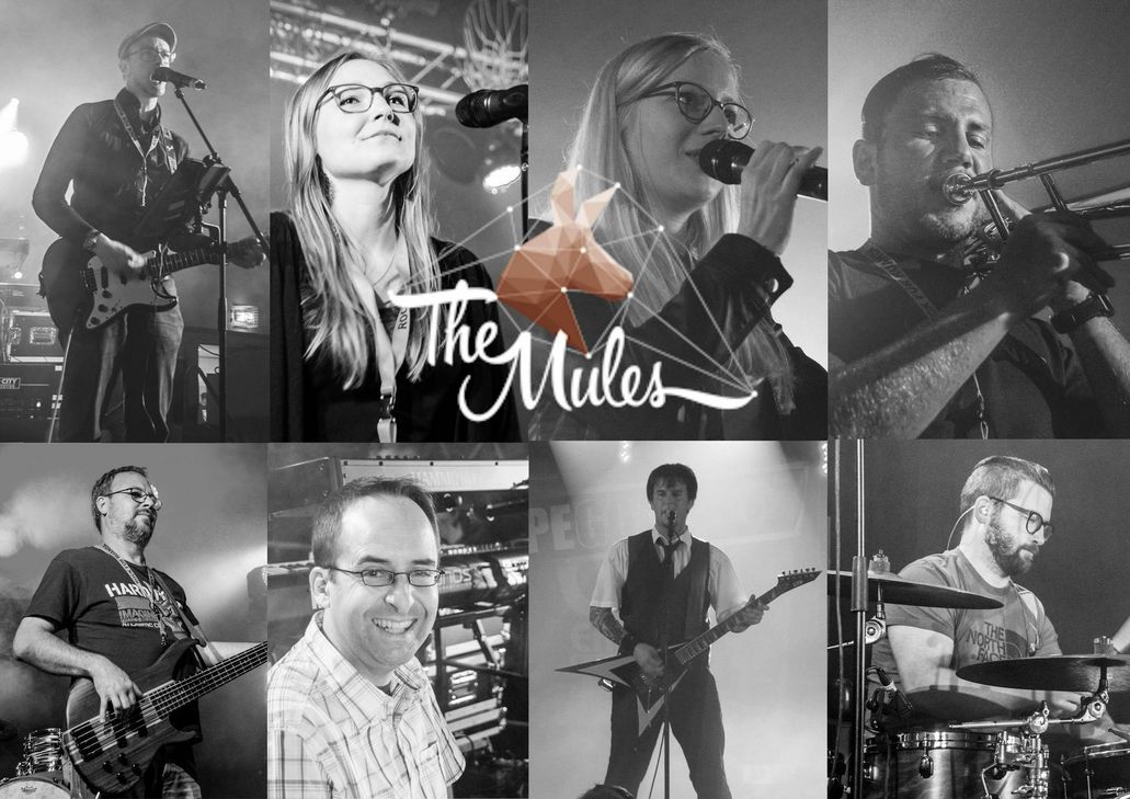 The Mules spielen am Samstag auf dem Ehranger Markt. Foto: Veranstalter