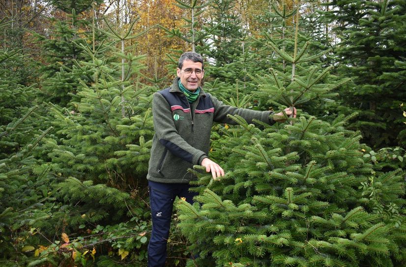 Johannes Nass inspiziert die Weihnachtsbaumkultur im Stadtwald. Hier sind die Herausforderungen der Wälder noch kein großes Thema.