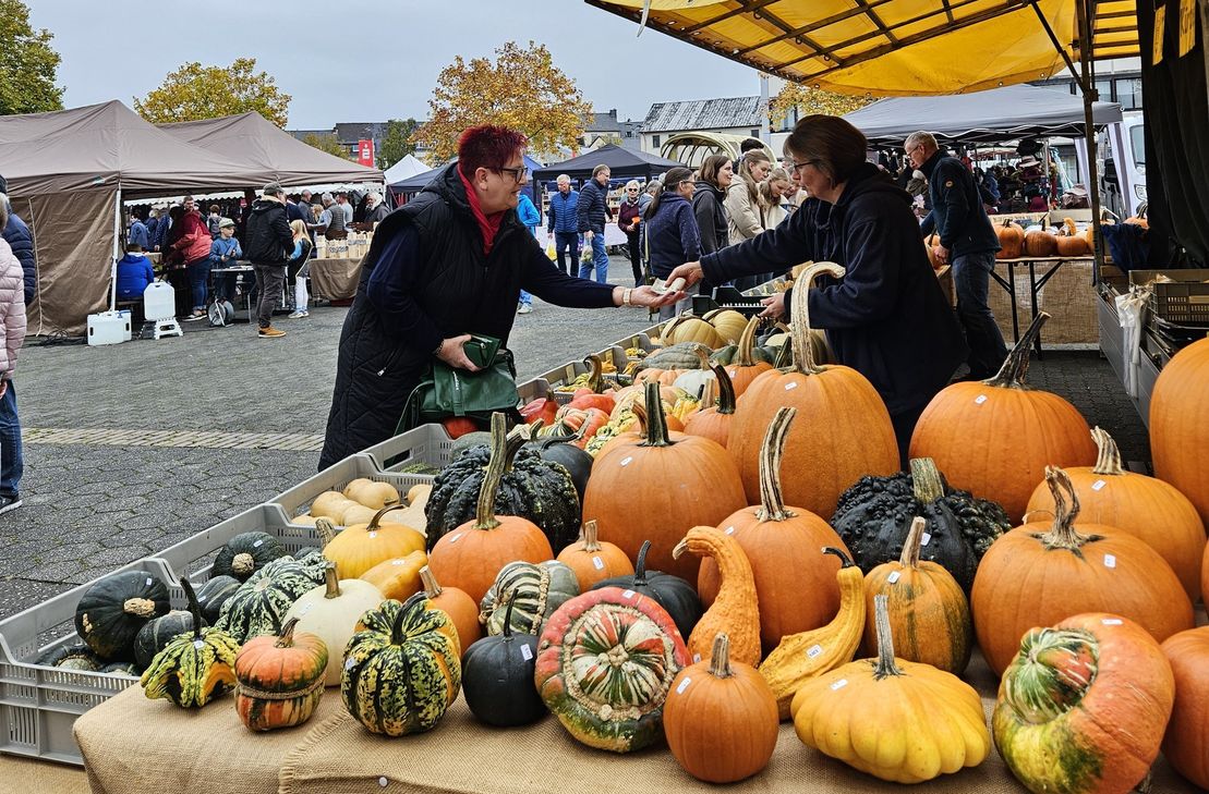 Kürbisse dürfen beim traditionellen Bauern- und Kunsthandwerkermarkt in Bitburg am 11. Oktober natürlich nicht fehlen.
