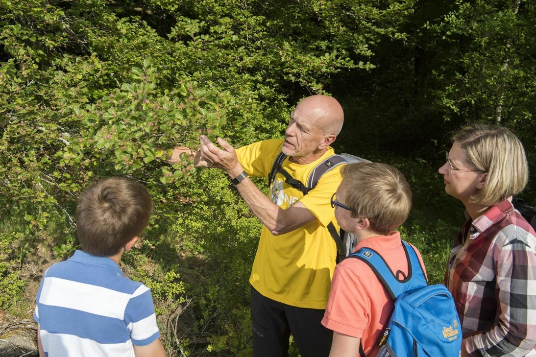 Foto: Naturpark und UNESCO Global Geopark Vulkaneifel