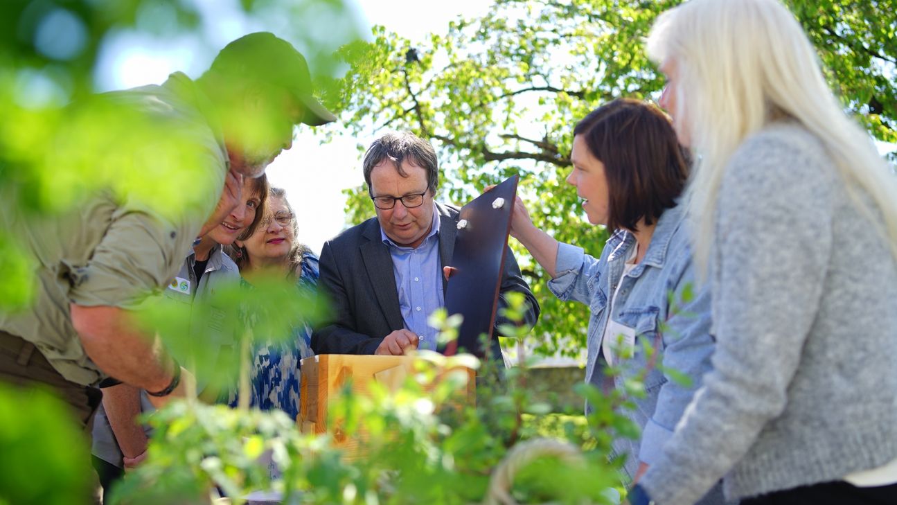 Kreativ stellten die Kitas bei der Zertifizierungsfeier ihre Projekte vor – hier eine Wurmkiste als Teil eines Gemüsegartens, der gemeinsam mit den Kindern gepflegt wird.