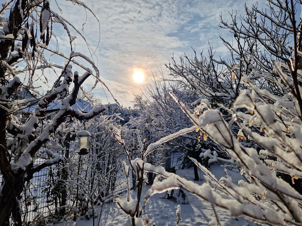 Winter Wunderland