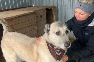 Stefanie Strauch engagiert sich für den Tierschutz und hat ein Charity-Tennisturnier in Rurberg initiiert.