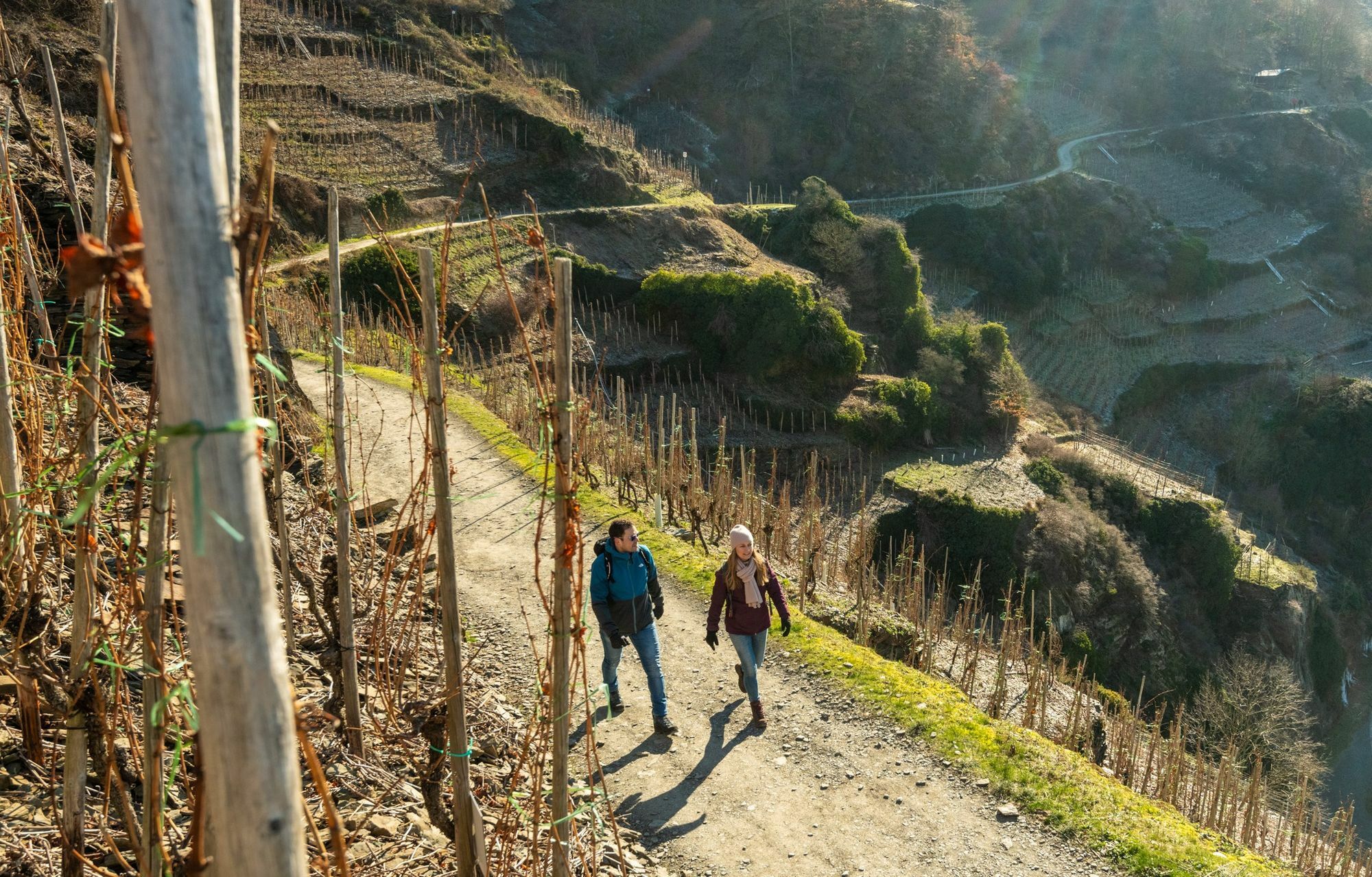 Der Rotweinwanderweg ist nominiert als Deutschlands schönster Wanderweg. Foto: Dominik Ketz