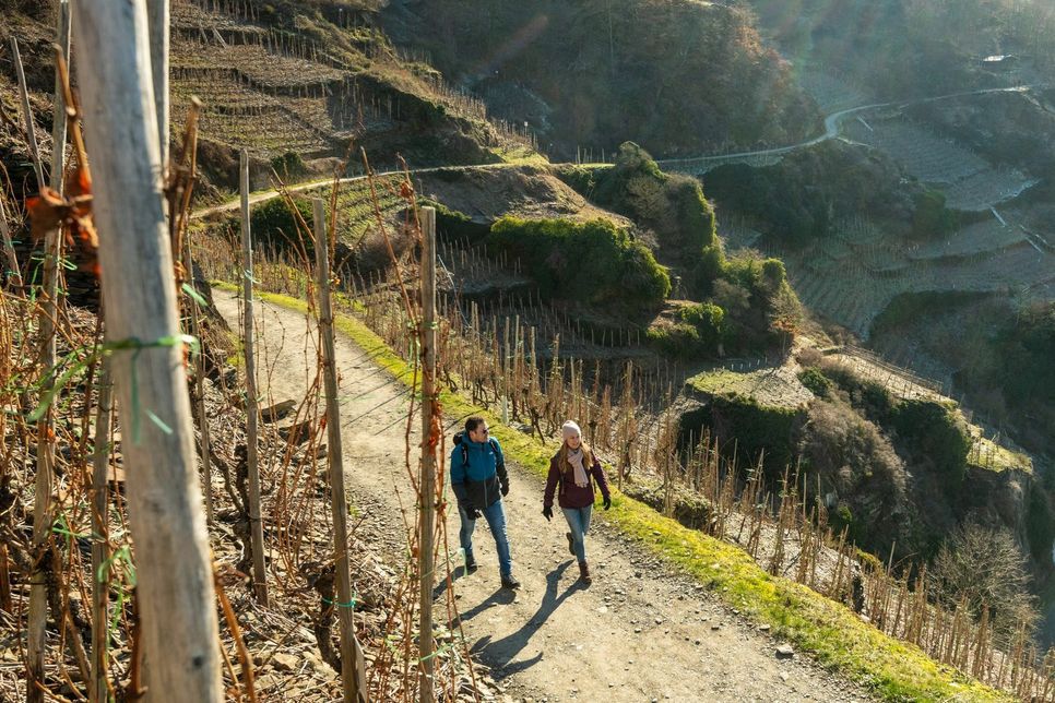 Der Rotweinwanderweg ist nominiert als Deutschlands schönster Wanderweg. Foto: Dominik Ketz