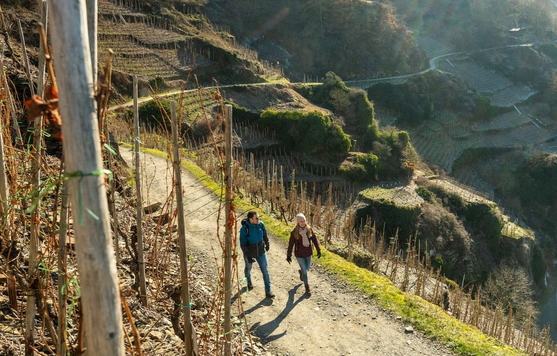 Der Rotweinwanderweg ist nominiert als Deutschlands schönster Wanderweg. Foto: Dominik Ketz
