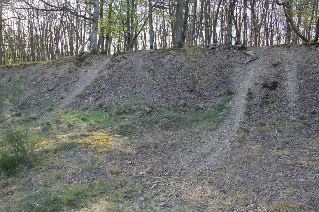 Da wird eine Böschung im Wald schon einmal zur Crosspiste.