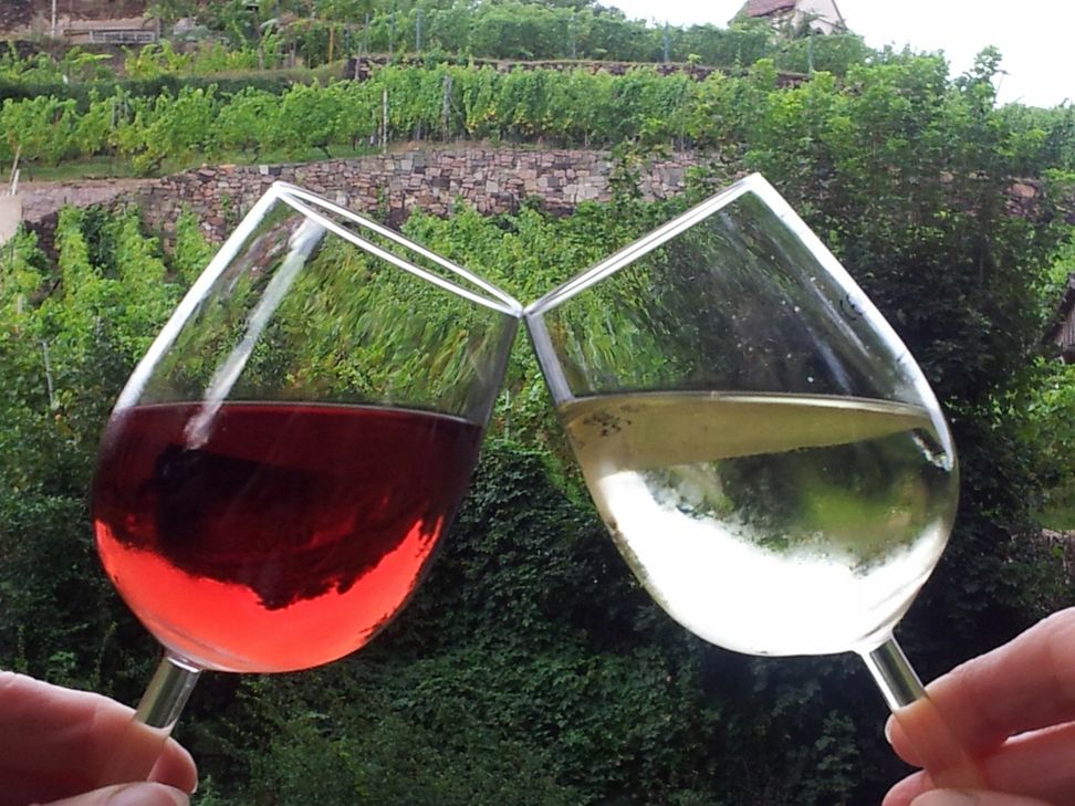 Offenbar seit einigen Jahren schon wurde Wein in einigen Kellereien teilweise schwarz an der Steuer vorbei verkauft. Jetzt sind die Steuerfahnder den Winzern auf die Schliche gekommen, teilweise laufen bereits Strafverfahren.          Foto: Archiv