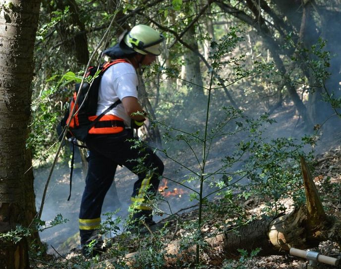 Sehr kräftezeehrend und anstrengend war der Einsatz der Feuerwehr der Stadt Heimbach, die in einem steilen Hang zwischen Hausen und Blens einen Waldbrand löschen musste. Fotos: Feuerwehr Heimbach