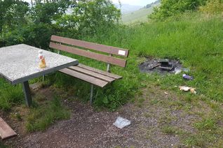 "Wildes Grillen" kann schnell teuer werden. Foto: FF