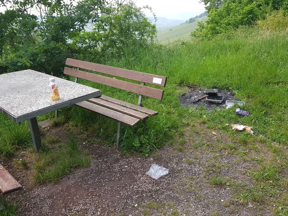 "Wildes Grillen" kann schnell teuer werden. Foto: FF