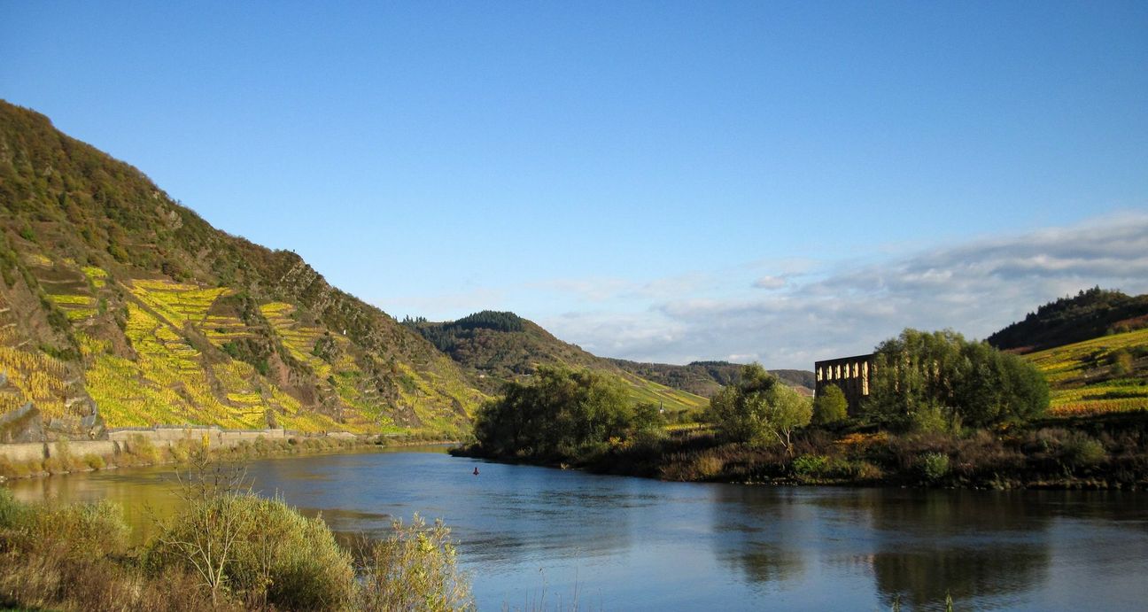 Die Klosterruine Stuben und der Calmont durften in Franzens "Dreiklang" nicht fehlen.