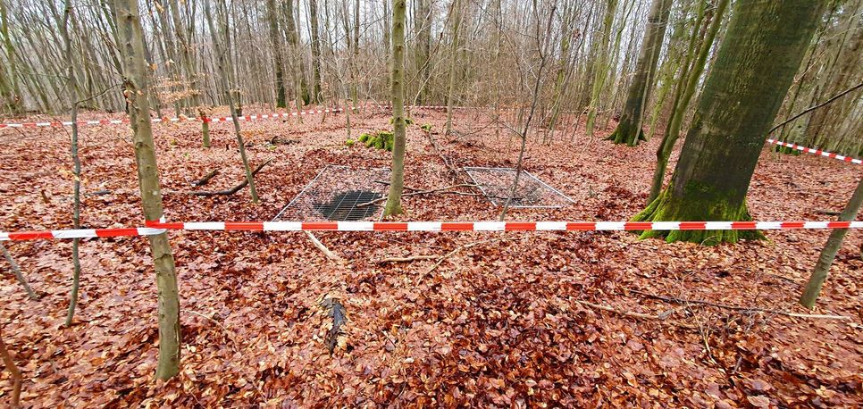 Der Revierförster hatte im Wald zwischen Urft und Wahlen ein tiefes Loch entdeckt und das Ordnungsamt informiert.