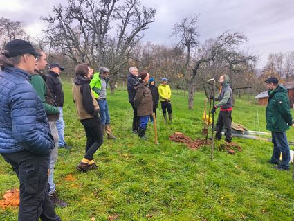 Ein Thema, das auf regen Interesse stieß: Ein Kurs, wie man Streuobstwiesen richtig anlegt.