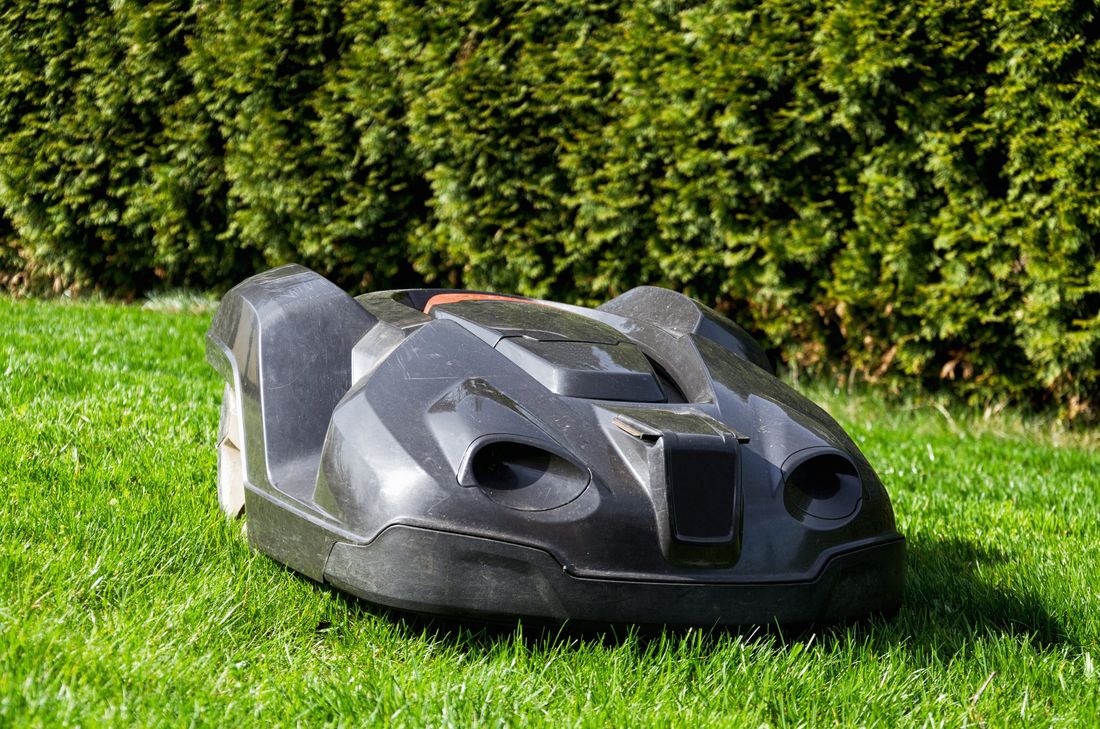 Mähroboter können Igel schwer verletzen oder töten - und sollten daher nur tagsüber fahren.