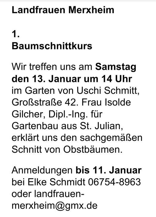 Baumschnittkurs
