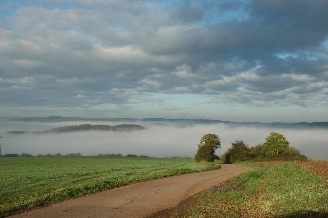 Ein Novembermorgen in der Eifelregion