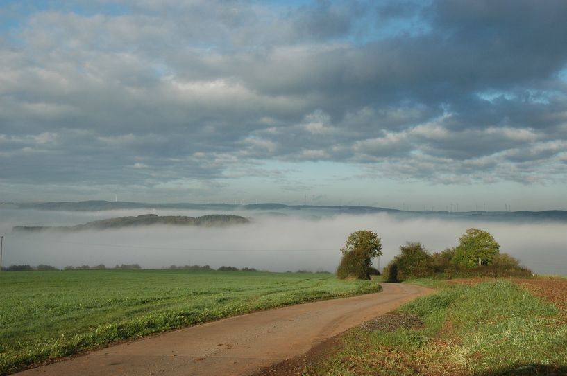 Ein Novembermorgen in der Eifelregion