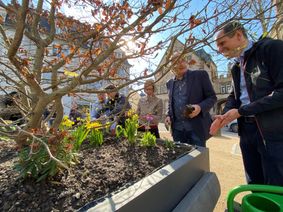 Paulusplatzpflanzung: Sie pflanzen noch ein paar Frühlingsblüher ins Hochbeet und freuen sich über die Eröffnung des neu gestalteten Paulusplatzes: Baudezernent Thilo Becker, Professor Matthias Sieveke, Hochschulpräsidentin Professor Dorit Schumann und Staatssekretär Michael Hauer (v. r.).