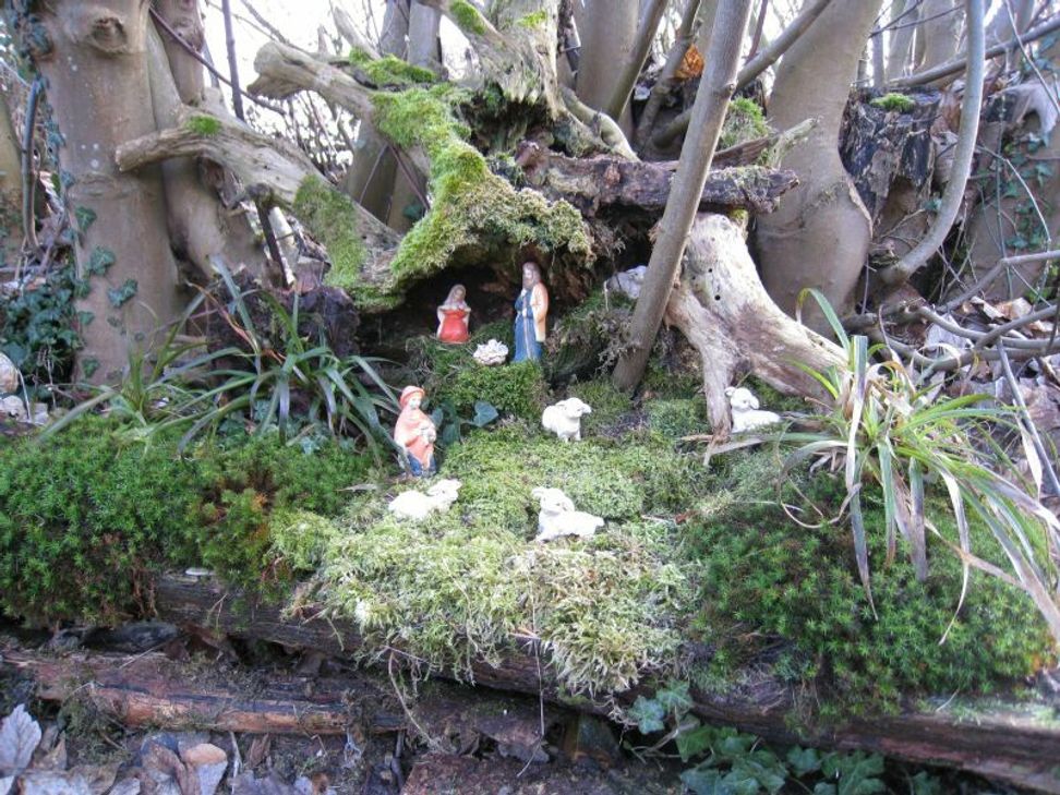 Auf dem Krippenweg. Fotos: NATUR AKTIV ERLEBEN