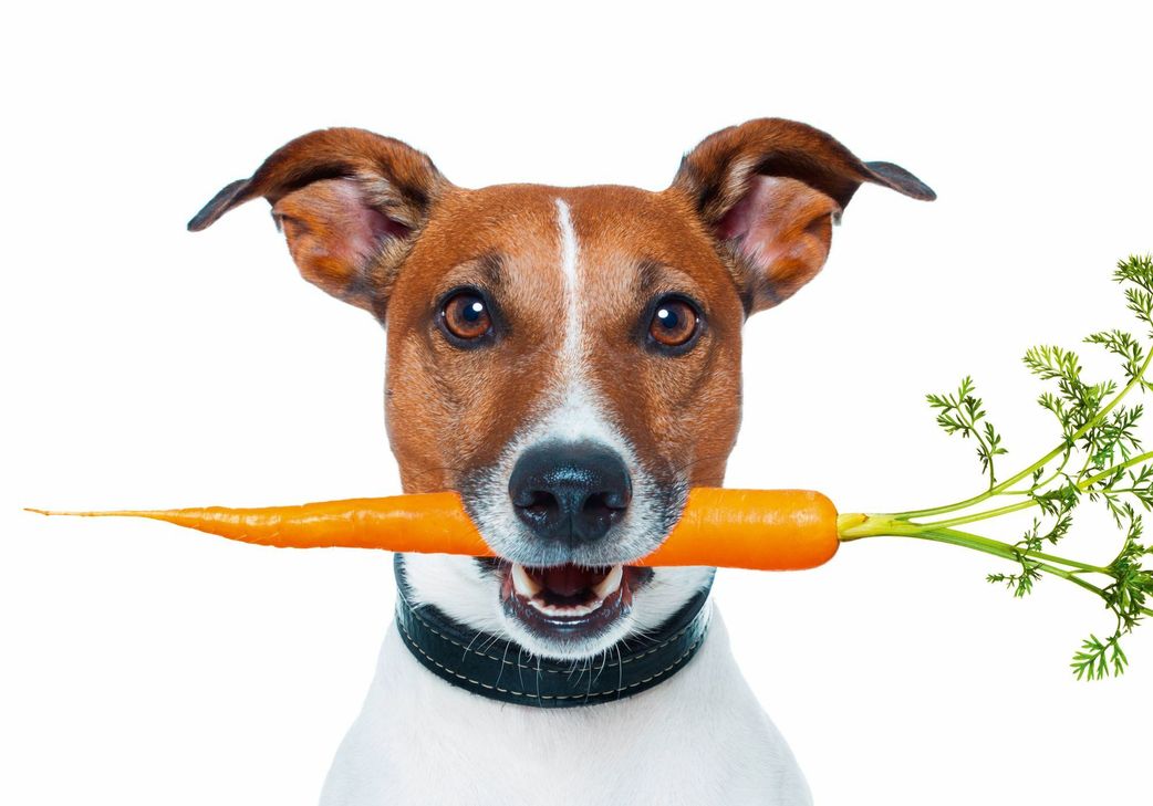 Die Eifeler Gesundheitsbranche und »MedAix« laden gemeinsam zum 3. Eifeler Gesundheitstag am Sonntag, 23. September, in die Sekundarschule Nordeifel ein.