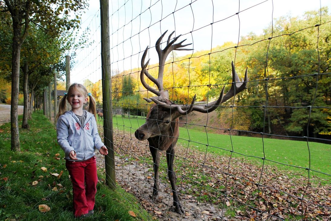 Und das gibts unter anderem zu gewinnen: Karten für den Eifelpark Gondorf