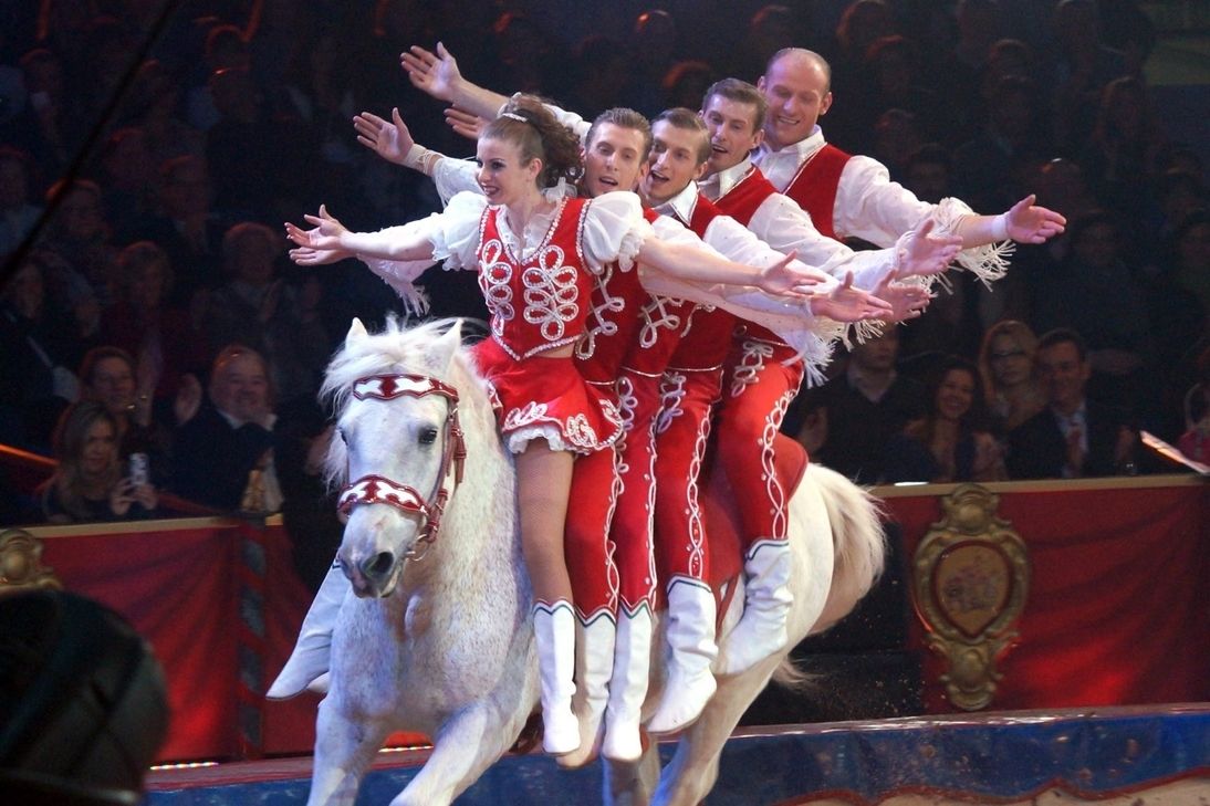 ...und für den Trierer Weihnachtscircus