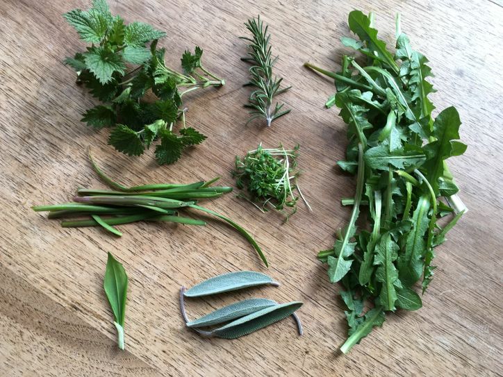 Powerkräuter aus dem Vorfrühlingsgarten: Brennessel, Rosmarin, Knolau, Kresse, Löwenzahn, Salbei und das allererste Blättchen Bärlauch